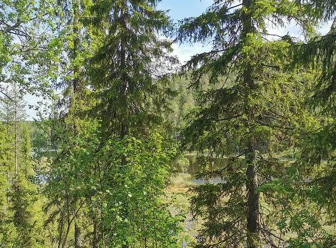 Salmikangas G4 Dom wakacyjny