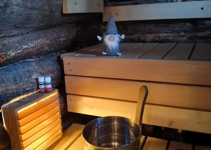 Dom wakacyjny Salmikangas G4 Ruka